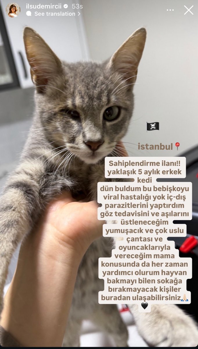 ilsupastels's tweet photo. I love how her love for cats isn't just superficial she really wants to help them from whichever way she can and that's so admirable, she's such a pure and kind hearted person ❤️

#IlsuDemirci #İlsuDemirci #Arafta https://t.co/bRU8ofd4fp