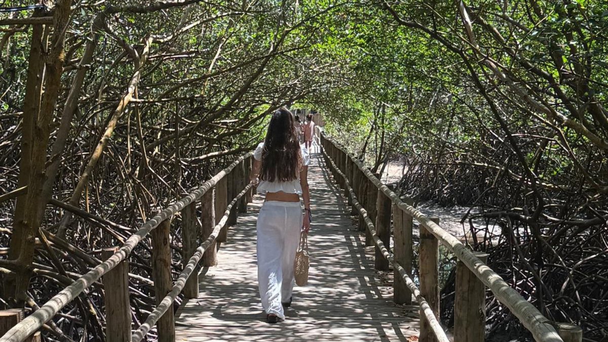 Blue_Parallel's tweet photo. Our recent visit to #Corumbau and #Trancoso highlighted a side of #Brazil defined by warm weather, expansive beaches, wildlife, and privacy. 🌴 In Corumbau, even the name, often translated as “distant place,” reflects its secluded character. #LuxuryTravel https://t.co/nUvBgwTHKJ