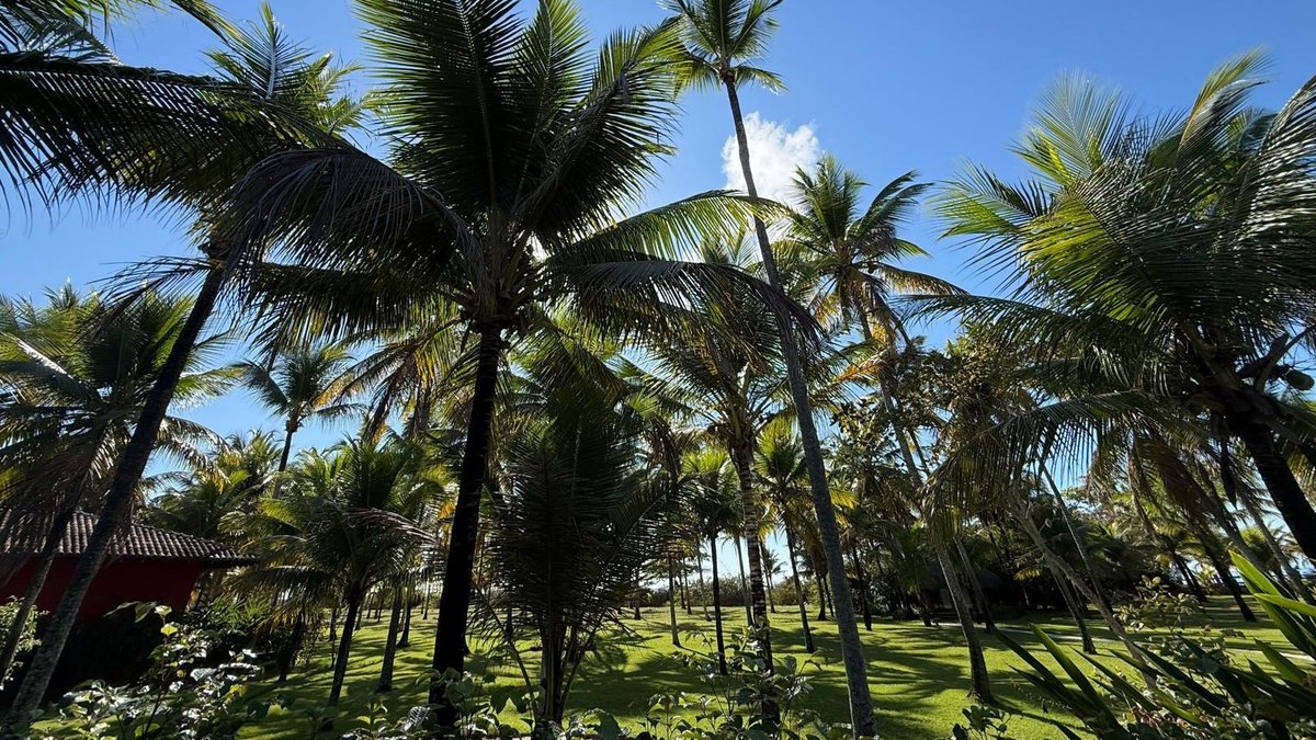 Blue_Parallel's tweet photo. Our recent visit to #Corumbau and #Trancoso highlighted a side of #Brazil defined by warm weather, expansive beaches, wildlife, and privacy. 🌴 In Corumbau, even the name, often translated as “distant place,” reflects its secluded character. #LuxuryTravel https://t.co/nUvBgwTHKJ