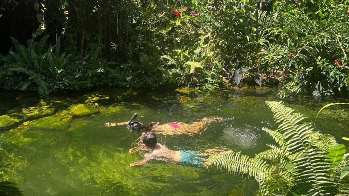 Blue_Parallel's tweet photo. Our recent visit to #Corumbau and #Trancoso highlighted a side of #Brazil defined by warm weather, expansive beaches, wildlife, and privacy. 🌴 In Corumbau, even the name, often translated as “distant place,” reflects its secluded character. #LuxuryTravel https://t.co/nUvBgwTHKJ