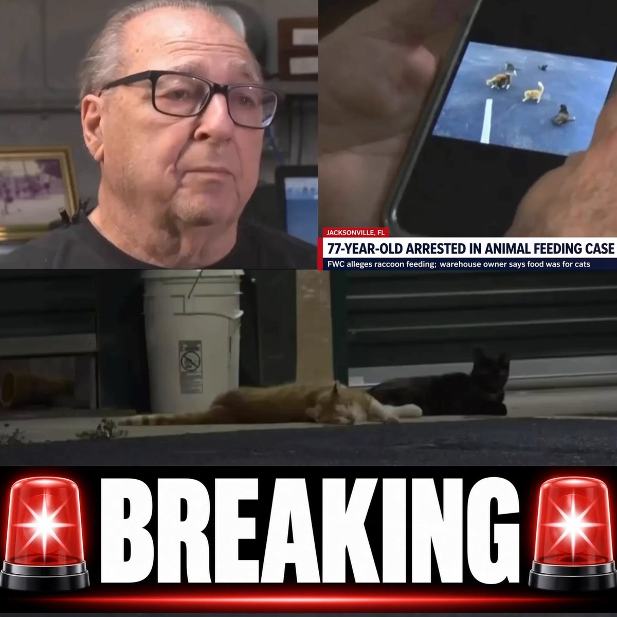DavidJHarrisJr's tweet photo. 🚨BREAKING: A grieving 77-year-old father with a broken ankle is thrown in HANDCUFFS at his own Jacksonville property over a bowl of cat food!

Louis Abbruzze and his wife lost their only son in 2010, turning to caring for local stray cats around their warehouse as a way to find purpose through their overwhelming grief.

The couple did everything right—trapping, vaccinating, and spaying or neutering the felines while adopting out as many as possible, leaving just seven cats that Louis considers his "children."

For 16 years, Louis cracked his warehouse door at night so the cats could seek shelter and eat, until a new property management company reported him to Florida Fish and Wildlife, claiming he was feeding raccoons.

Despite adjusting his routine to follow officer instructions, FWC agents returned to the property, placed the disabled senior citizen in leg irons and handcuffs, and hauled him off on a misdemeanor charge!

Louis, who uses a cane and was recovering from a broken ankle, was treated like a dangerous criminal simply for extending compassion to defenseless animals on his own private property.

What's your thoughts on this?