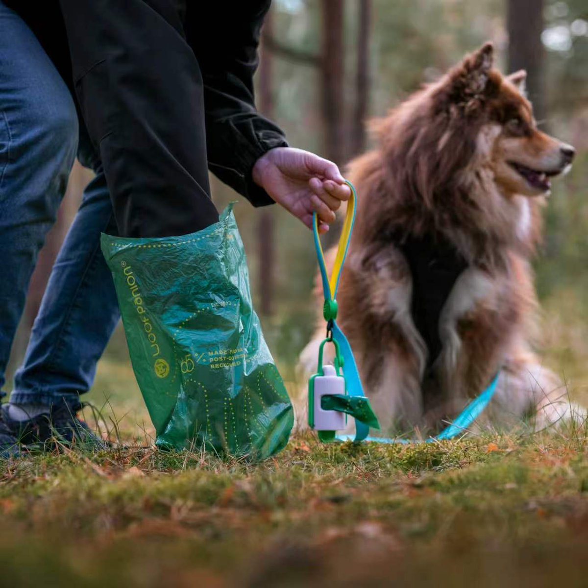 woofpanion's tweet photo. More than a poop bag — it’s a smarter solution for everyday walks. 🐾🌱 Woofpanion combines innovative design, practical functionality, and more sustainable materials to make pet waste cleanup easier. #Woofpanion #PetInnovation #Doginnovation #Dogscare https://t.co/tkZgpmDdIr
