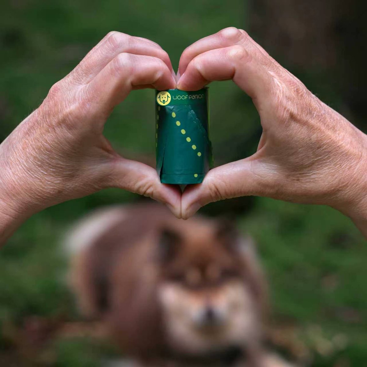 woofpanion's tweet photo. More than a poop bag — it’s a smarter solution for everyday walks. 🐾🌱 Woofpanion combines innovative design, practical functionality, and more sustainable materials to make pet waste cleanup easier. #Woofpanion #PetInnovation #Doginnovation #Dogscare https://t.co/tkZgpmDdIr