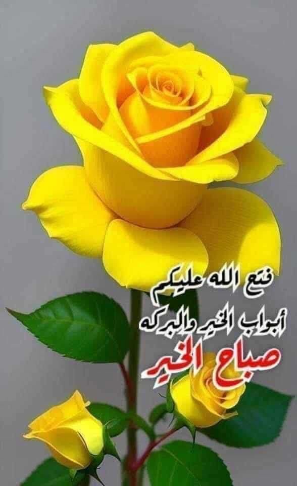 Mustafa32749207's tweet photo. @noreem_says_ https://t.co/mQN2moX3Ng