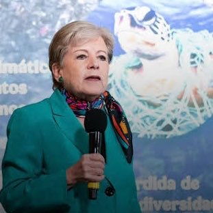 YoAmoaLaCiencia's tweet photo. 🍃 Monitoreo ambiental | Oaxaca: casi 17 mil huevos de tortuga saqueados en sólo dos meses

En apenas agosto y septiembre, al menos 16,900 huevos de tortuga golfina fueron extraídos ilegalmente de playas de Oaxaca.

El 3 de agosto en Playa Escobilla se aseguraron 5,100 huevos,  a finales de agosto en Morro Ayuta otros 9,500 y entre el 7 y el 12 de septiembre 2300 en distintos puntos, según datos oficiales del gobierno de Sheinbaum.

El equivalente aproximado de 169 nidos completos.

Asegurarlos después del saqueo no significa recuperarlos con vida, los 5100 de Escobilla tuvieron que ser desechados porque ya no eran viables. 

La propia PROFEPA reconoce que sacar los huevos del nido, exponerlos a condiciones ambientales distintas, transportarlos y manipularlos incorrectamente puede alterar o interrumpir el desarrollo del embrión. 

Los traficantes no realizan un traslado para conservación, los huevos pueden terminar en bolsas, mochilas, costales o cajas. 

La SEMARNAT de Alicia Bárcena y la PROFEPA de Mariana Boy deben transparentar algo mucho más importante que el número de huevos encontrados después del saqueo.

Los ciudadanos queremos saber cuántos kilómetros y horas de vigilancia se cubren realmente, cuántos inspectores están desplegados, cuáles son los puntos críticos, cuántos saqueadores han sido detenidos y cuántos casos llegaron a la FGR.

Casi 17 mil huevos extraídos ilegalmente en dos meses no son una cifra para presumir como “logros”.
