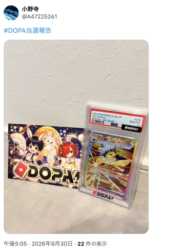 オバティフォリアオルカ　大株50センチ即戦力サイズ　引き取り限定　最終値下げ‼️ DOPA!オリパ on X: 