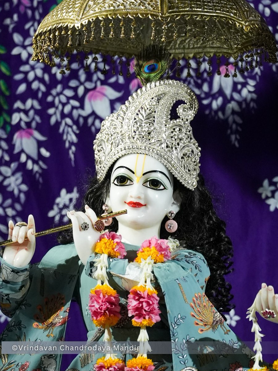 VCMVrindavan's tweet photo. Tonight's Shayana Darshan of Sri Radha Vrindavanchandra - 30 Sep 2026 

#vrindavan #vrindavanchandrodayamandira #Krishna #Radha https://t.co/2XusjuZe1u