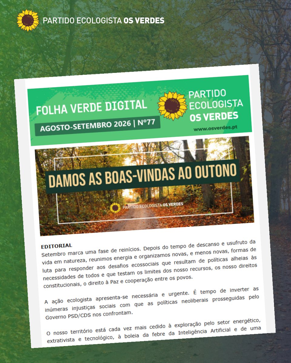 OsVerdes's tweet photo. Nova Folha Verde Digital
https://t.co/0B2GuzCcUn https://t.co/7btFCjztu3