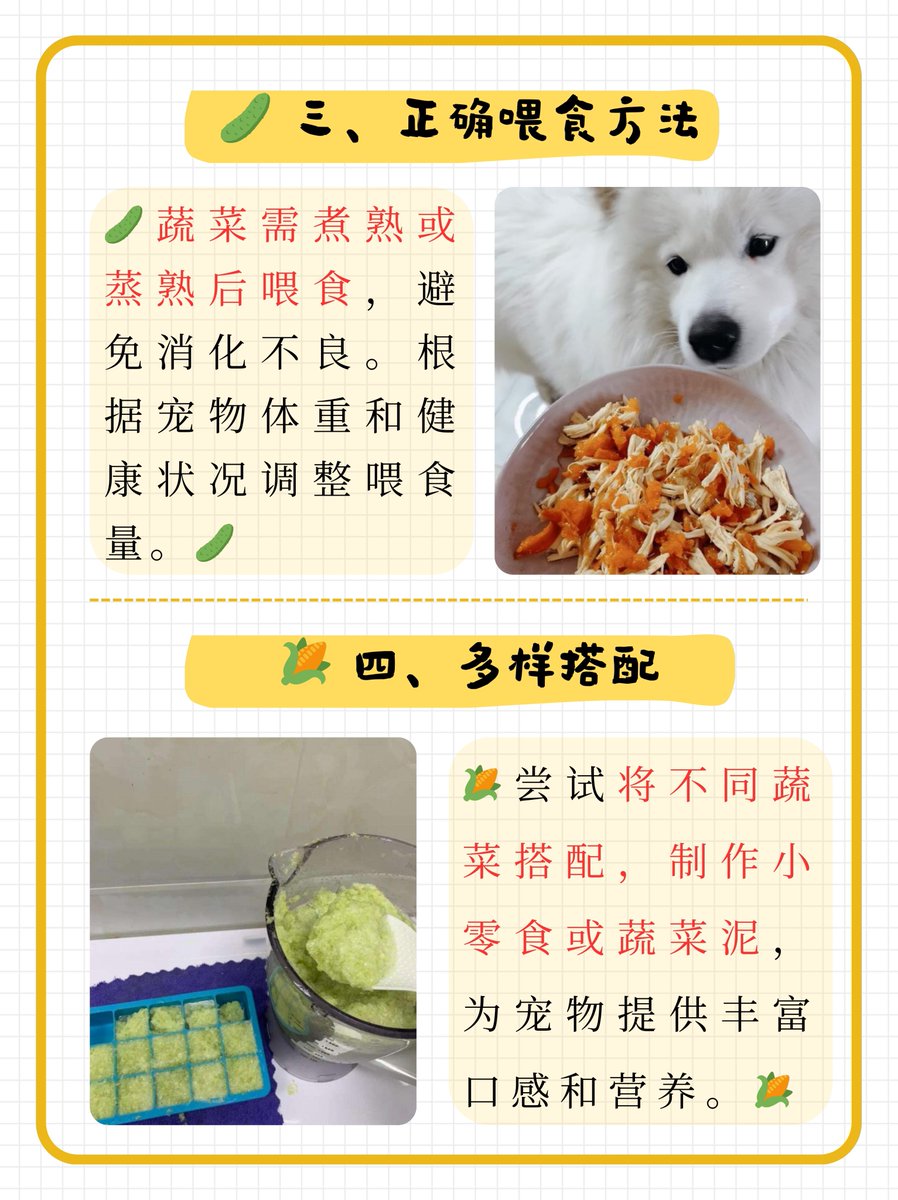shift_princ_51e's tweet photo. [Hey, that little guy just loves munching on fresh veggies—crunch, crunch, crunch!]， https://t.co/Z9WU061PH3