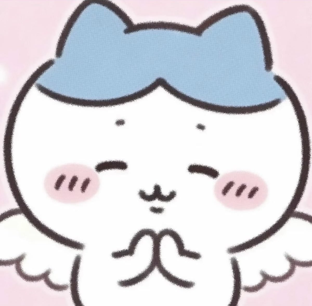 yaoihyeon's tweet photo. my angel baby kitty princess 🩵🪽 https://t.co/lvkiOQrEqZ