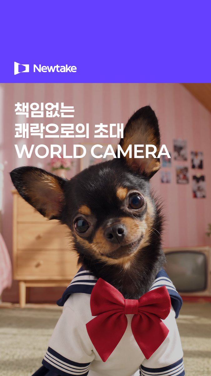 A Newtake advertisement showing a small Chihuahua dog wearing a sailor outfit with a red bow, with Korean text translating to "World's First Raccoon Ultra Wide World Camera."