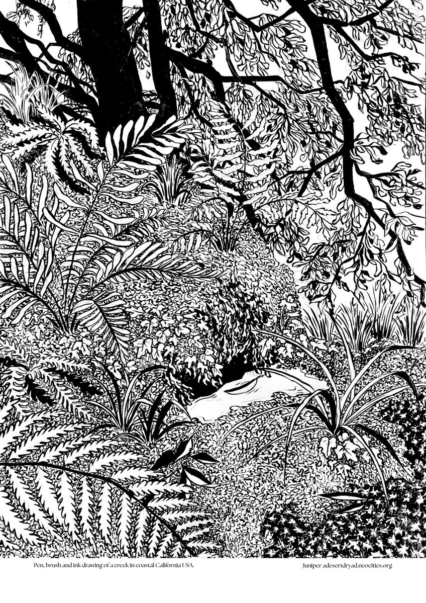 SolsticePrint's tweet photo. Our first issue of Solstice magazine features several art-works by living artists. Here we have a very fine drawing by @adesertdryad and we hope Juniper makes more drawings like this! https://t.co/07kbf6OX0D
