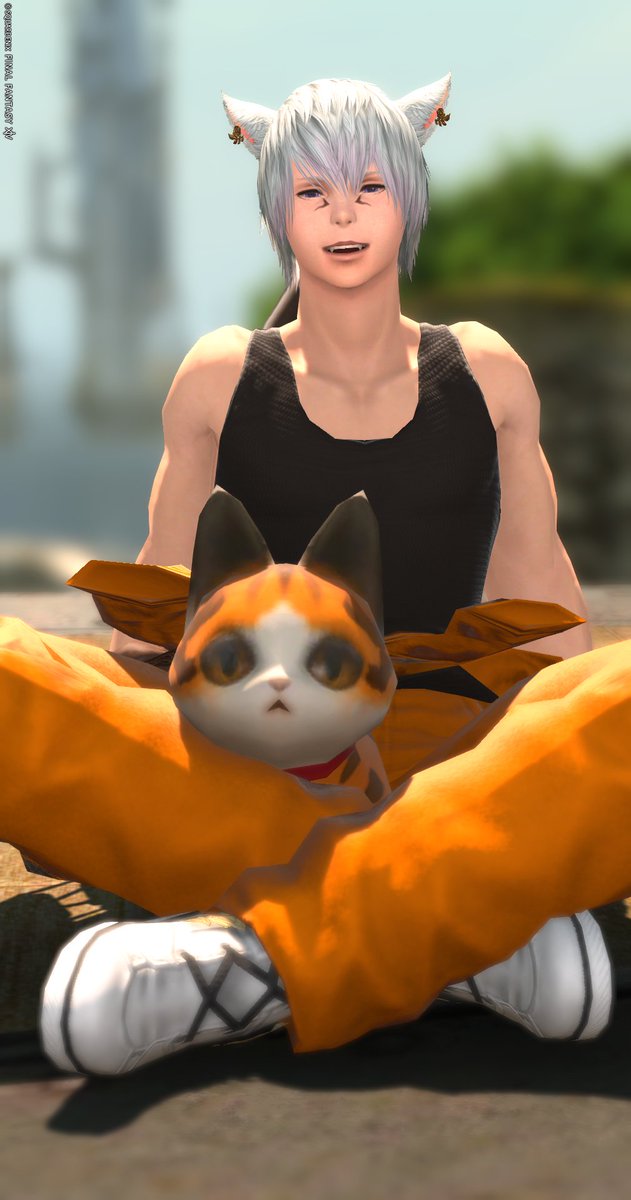 AshuFFXIV's tweet photo. おはよう🐾
10月ものんびりと…
 
#おはミコ #オスッテ #FF14 https://t.co/lhUpaYAzcx