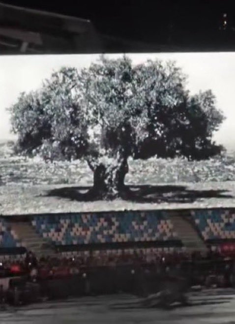 YZYFRANCE1's tweet photo. Two years ago, Ye displayed a photo of an old Palestinian olive tree in Kaubar before his Haikou show. 🇵🇸

Taken during the First Intifada (1987–1993), the tree symbolizes Palestinian roots, resilience and connection to the land. https://t.co/RC7KAhf7mu