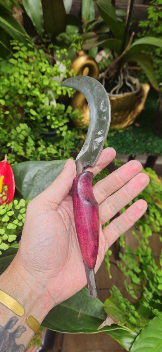 BlackSalander's tweet photo. Finished my second hand forged knife

A boline herb picker

Carbon steel from lawnmower blade and purpleheart handle https://t.co/Xg0rUJqYxW