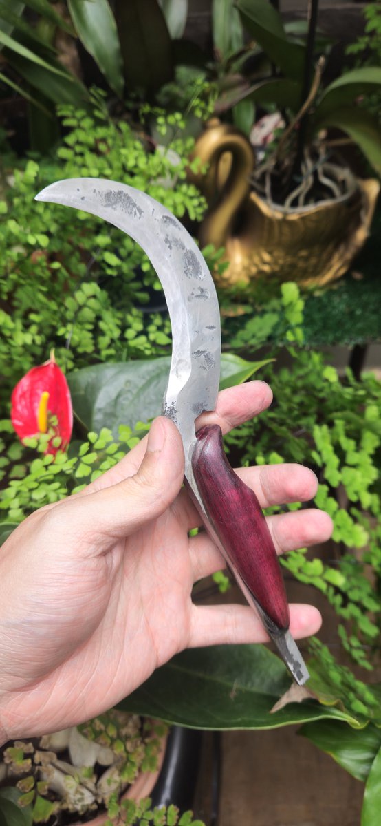 BlackSalander's tweet photo. Finished my second hand forged knife

A boline herb picker

Carbon steel from lawnmower blade and purpleheart handle https://t.co/Xg0rUJqYxW