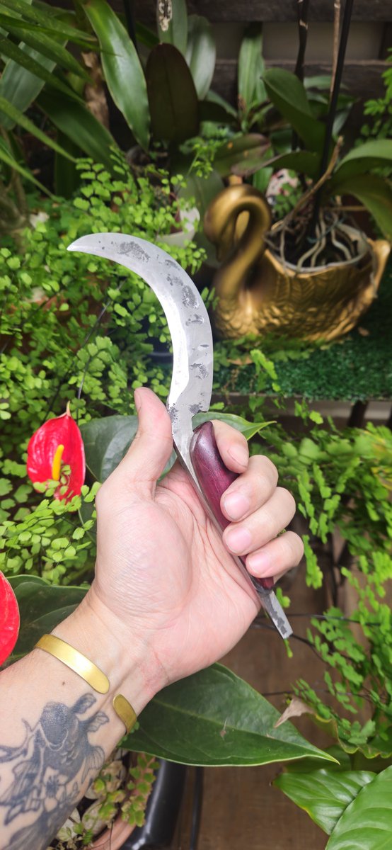 BlackSalander's tweet photo. Finished my second hand forged knife

A boline herb picker

Carbon steel from lawnmower blade and purpleheart handle https://t.co/Xg0rUJqYxW