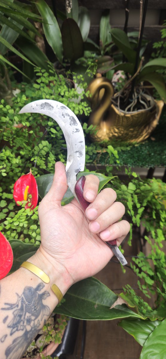BlackSalander's tweet photo. Finished my second hand forged knife

A boline herb picker

Carbon steel from lawnmower blade and purpleheart handle https://t.co/Xg0rUJqYxW