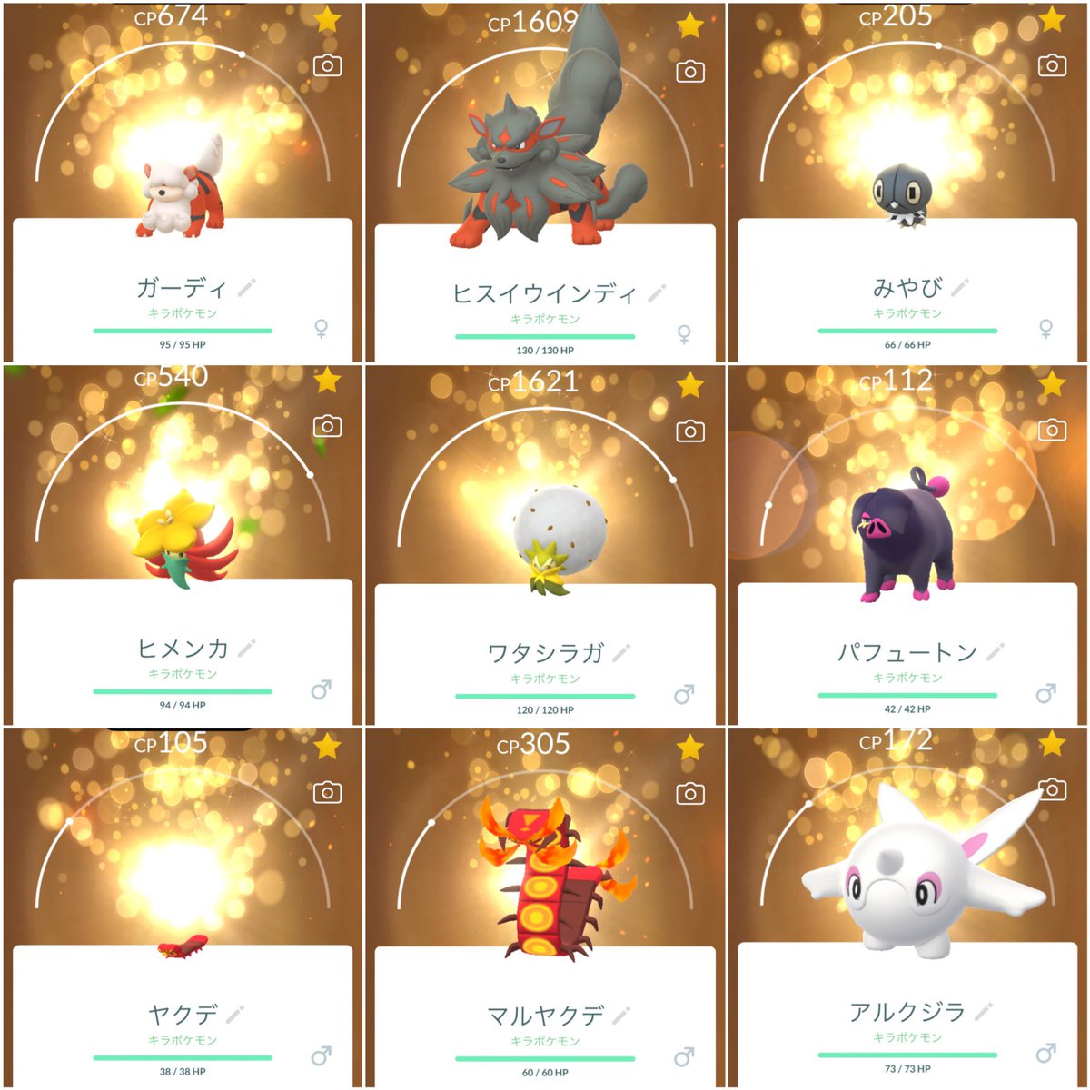 PokePokeGoGood's tweet photo. 9/29,9/30の交換

29日はキラフレさんとの交換で韓服ピカチュウ交換頂きました！

29日 9キラ

30日はお初の交換の方でまさかの16キラ✨
キラペースが早く弾切れ寸前でした😂😂

是非またお願いいたします🙇

新しいリストこの後更新します🆙 https://t.co/FT3eEAKZHk