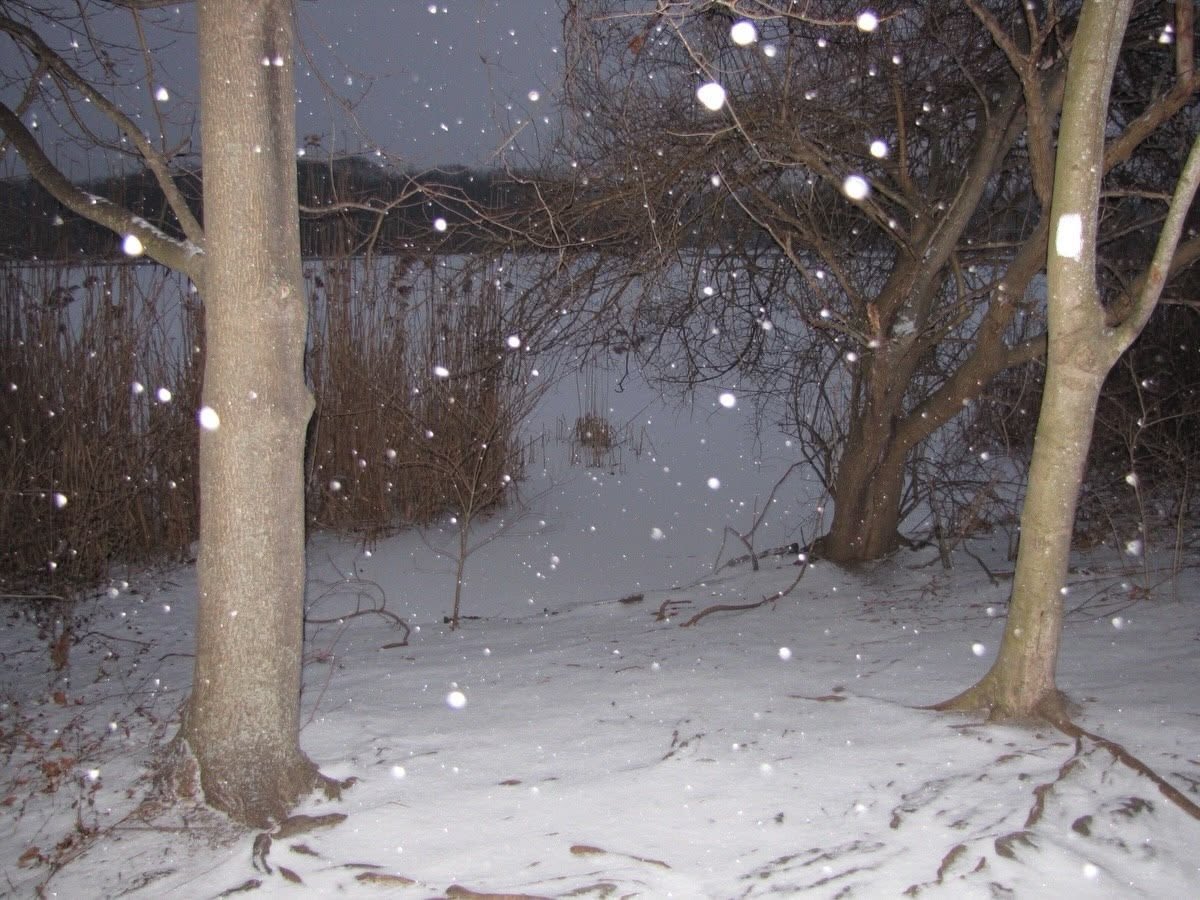 iglooicicle tweet picture