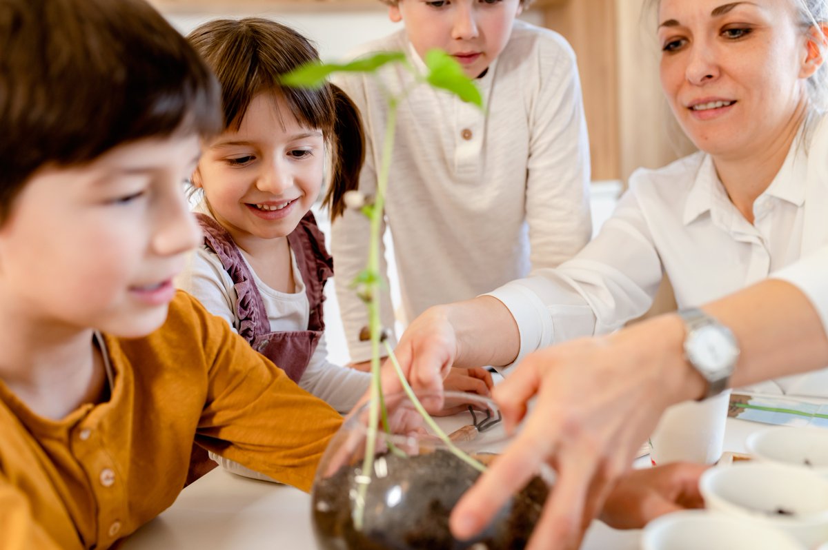 twosidesit's tweet photo. @twosidesitx Promuovere una cultura del rispetto e della cura verso l'ecosistema è l'obiettivo della Giornata Mondiale dell'Educazione Ambientale, che ricorre il 14 ottobre. Questa giornata sottolinea la necessità di formare cittadini consapevoli e attivi fin dalla tenera età. https://t.co/1Aky1AHmV6