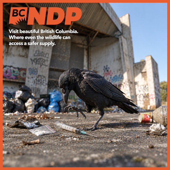 FritzToxic's tweet photo. @Dave_Eby https://t.co/jbqu5B5NvT
