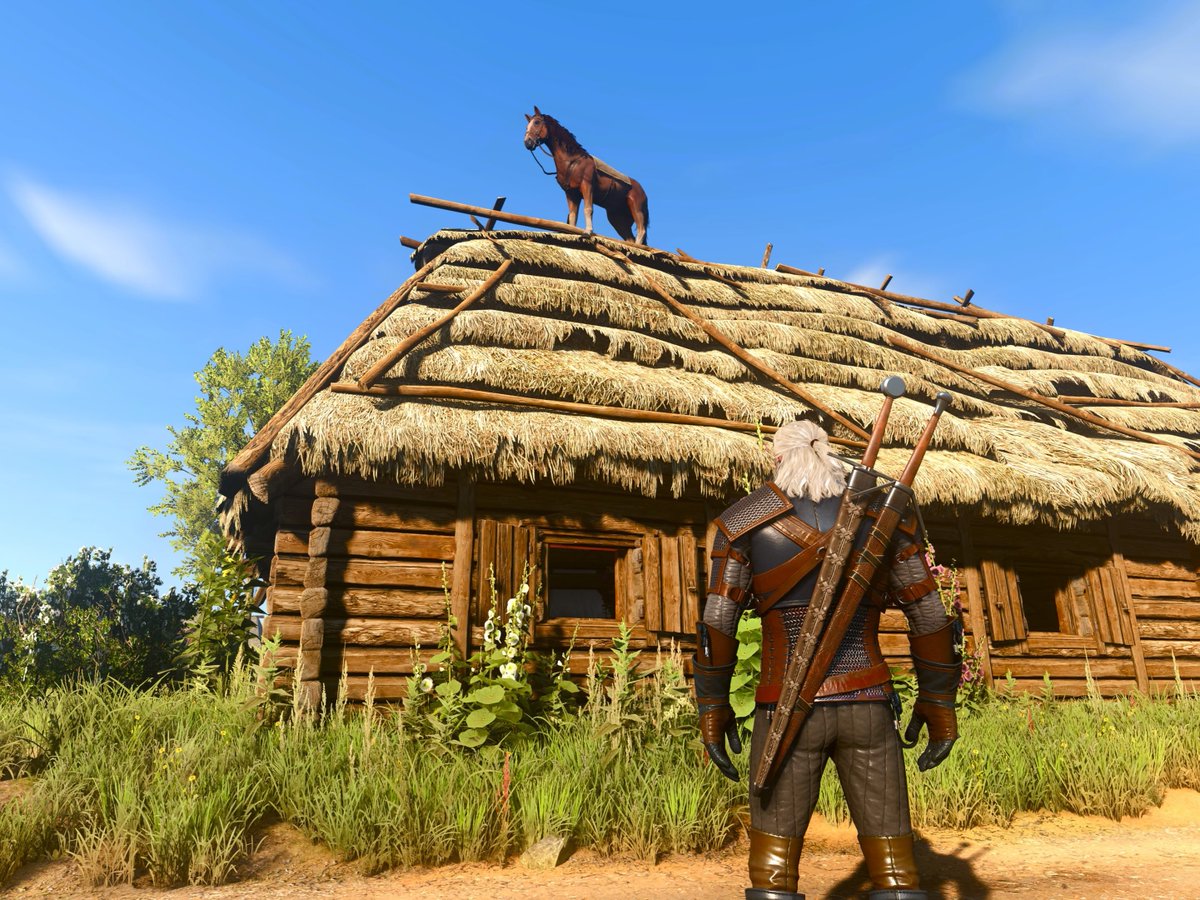 TheWitcherSardi's tweet photo. Se puede recrear el bug legendario en el modo foto de The Witcher 3 Remastered https://t.co/evCaKz2M1Y