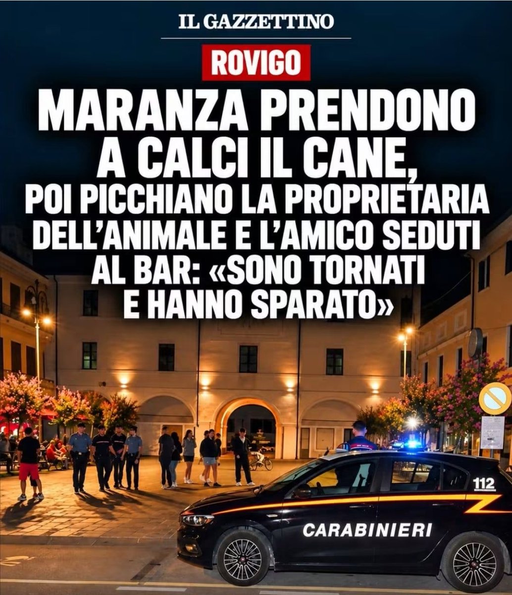 kingoftheheart's tweet photo. Caricarli tutti in un aereo cargo e scaricarli nella savana 🦒 🦏 e farli unire ai loro parenti 🙉🦍🐒 https://t.co/0pj3mEXxqr