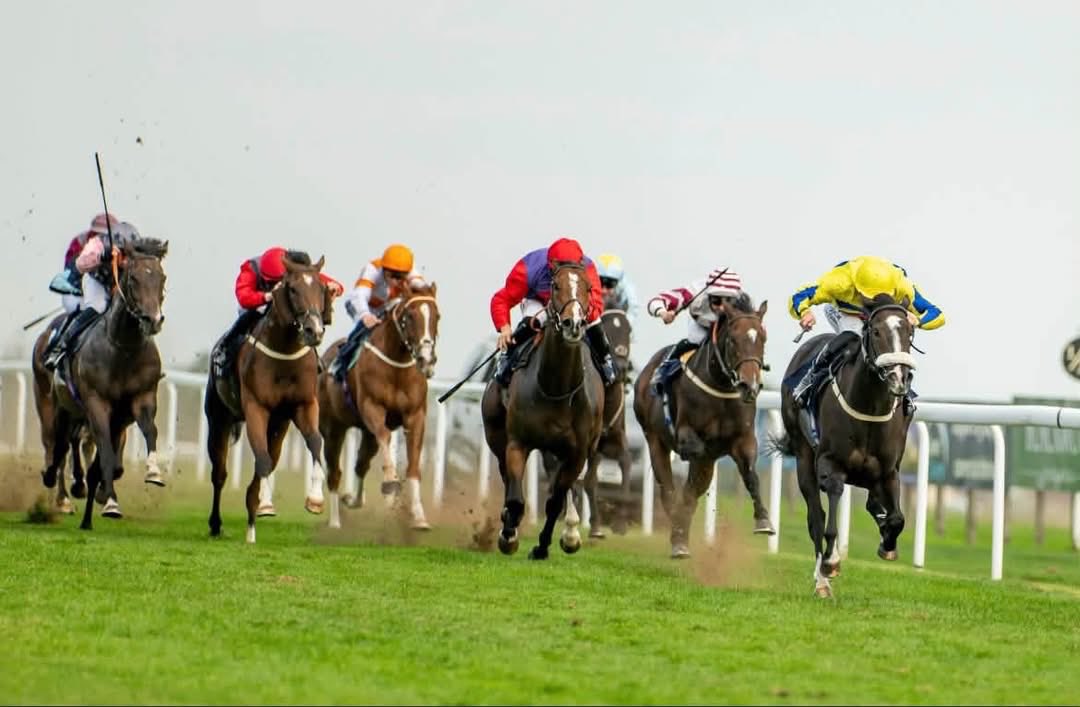 SPearce_Racing's tweet photo. #zoomzoom #f1 #sprinter thank you @bathracecourse for the photos of yesterday! Forager and Killarney Glen @Mitchelljack77 https://t.co/VnABdDVSCo