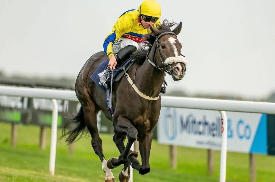 SPearce_Racing's tweet photo. #zoomzoom #f1 #sprinter thank you @bathracecourse for the photos of yesterday! Forager and Killarney Glen @Mitchelljack77 https://t.co/VnABdDVSCo