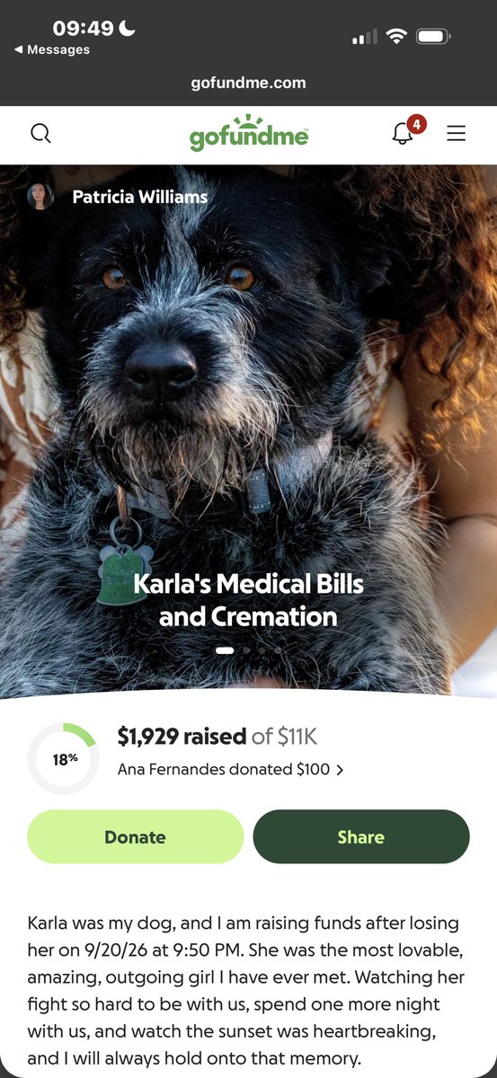 yhadie01's tweet photo. https://t.co/WbkPO5eKL6

Please help support this wonderful young lady and the tragedy of loosing her pet. @elonmusk https://t.co/J69Xyo5s7x