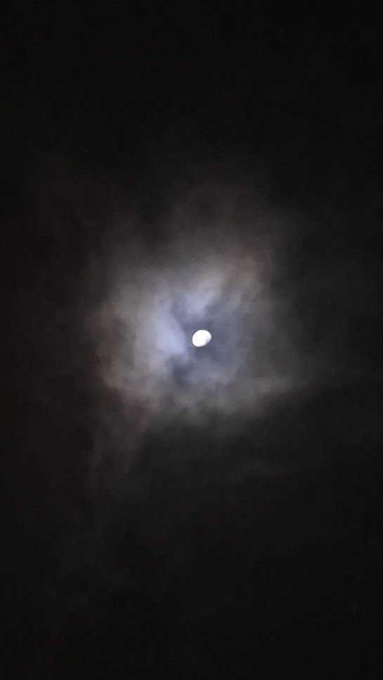 notsoodazed's tweet photo. Early morning moon https://t.co/pVro40Kd9s
