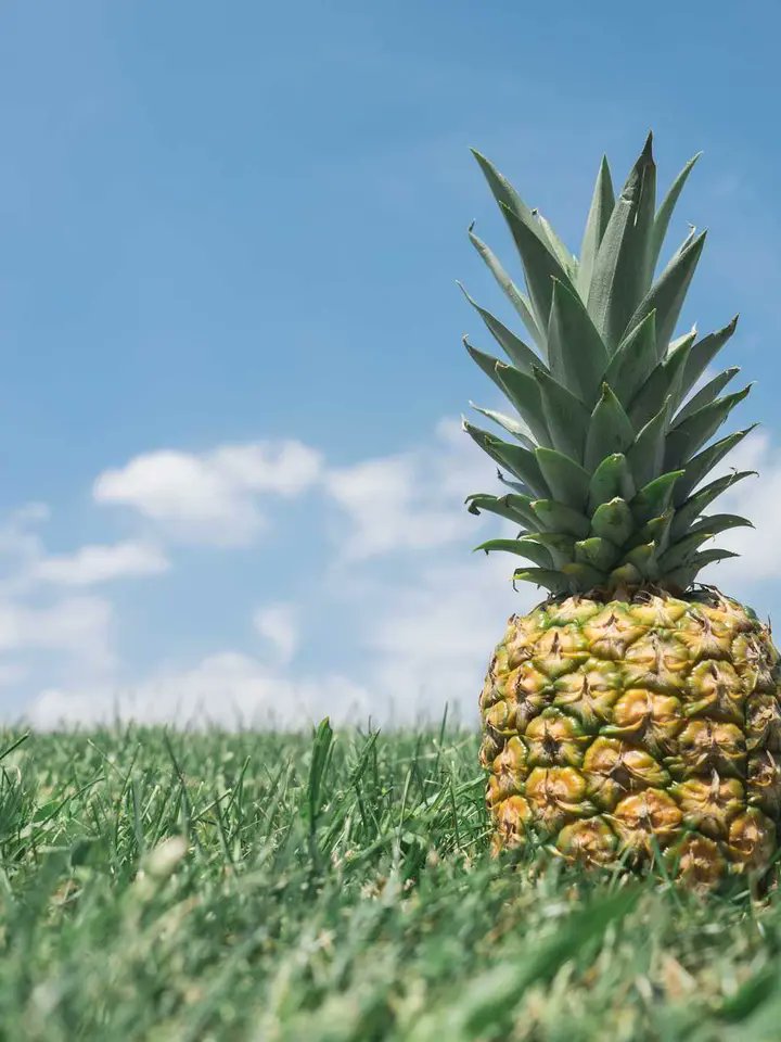 Riotvan89's tweet photo. Would be a bit too gay!🥺🥲 https://t.co/1IH4QF5obE