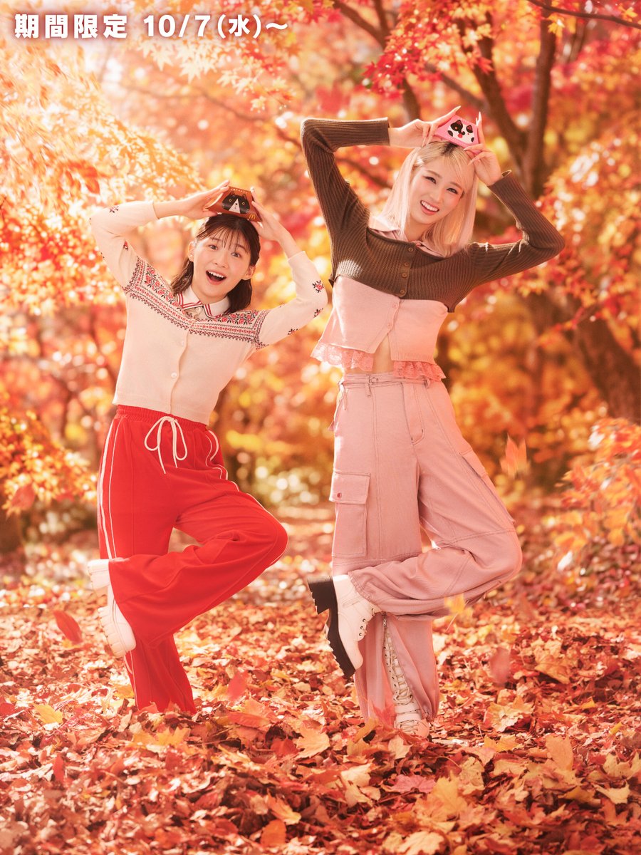 McDonaldsJapan's tweet photo. でこぼこの秋がやってきた！ https://t.co/xP3LYc6klX