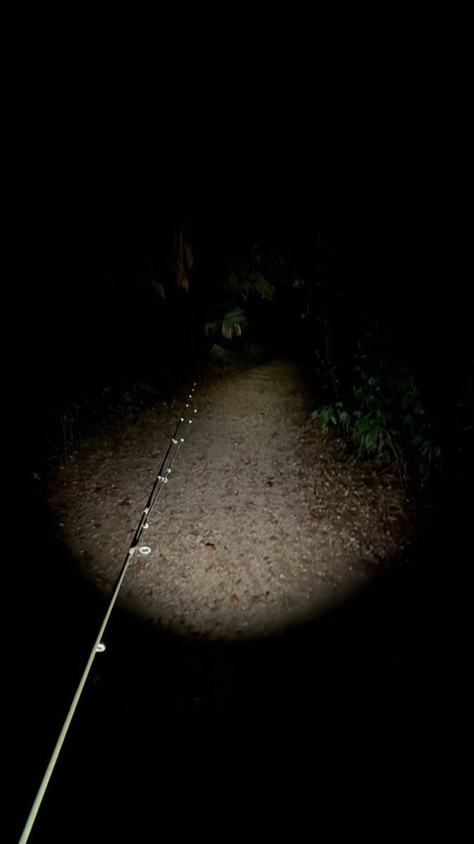 2002tacomasr5's tweet photo. Going fishing in the dark would be so scary without my blue Gatorade https://t.co/pFMH7UAeCd