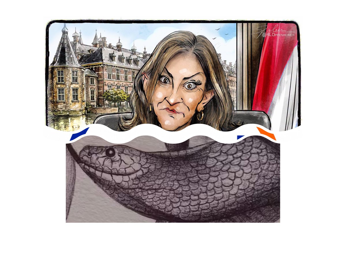 Sander1461710's tweet photo. @EelcoHoecke @VVD VVD WAT MOET JE ERMEE. https://t.co/ZsDO9I8K42
