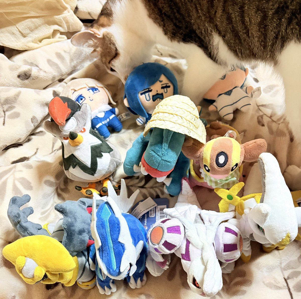 104moray30's tweet photo. DP20th&amp;ウナギのポケモン歴20th記念シンオウ旅行はこれにて終了です！お疲れさまでスター🌟
もう既にシンオウ行きたい‼️‼️‼️ https://t.co/OQdJXcLCwa