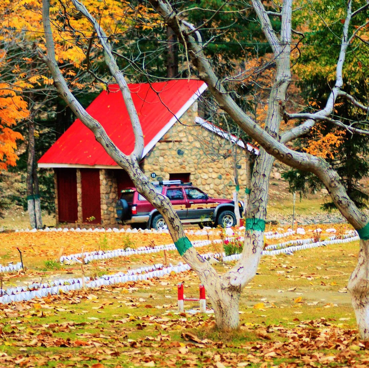 PakTravelGuide's tweet photo. Naran Kaghan autumn season is coming — are you ready for a tour in October 2026?

https://t.co/OQ4JWFJUoO https://t.co/2g4mL0KFj5