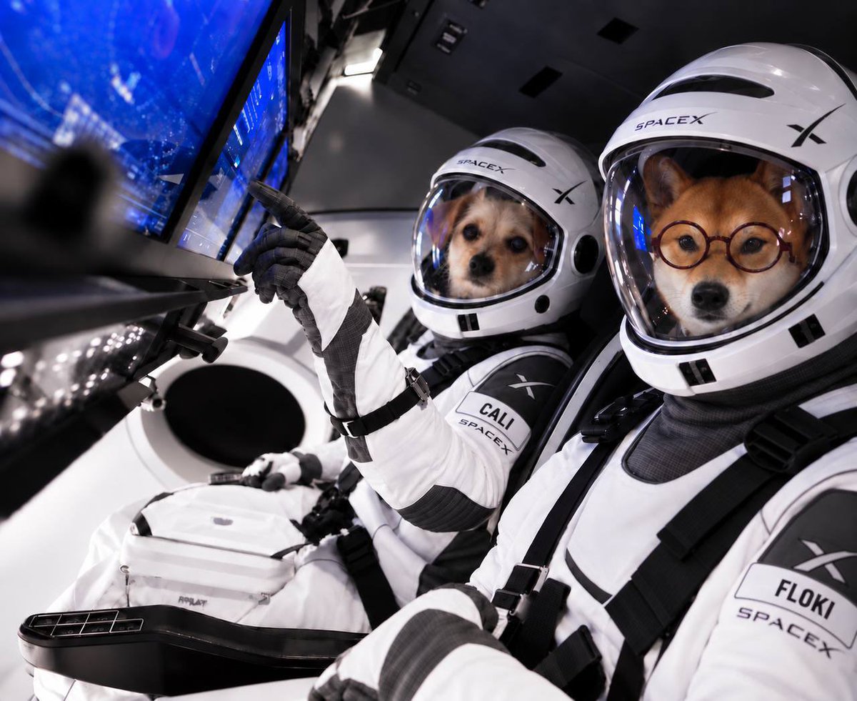 teslaownersSV's tweet photo. Rumour has it this is a real picture of Cali and Floki 

Can you and Elon confirm 😂 https://t.co/EzvM8SfGqH