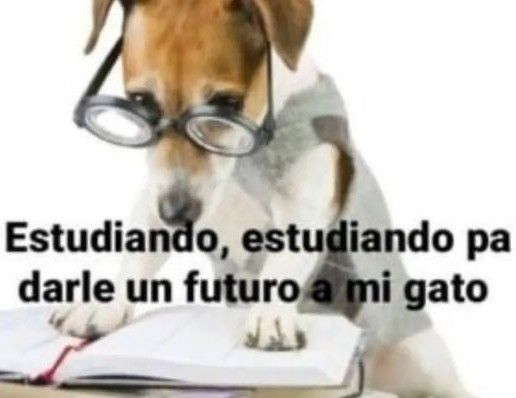 CaroMoliinaa's tweet photo. https://t.co/9JN2T37lfh