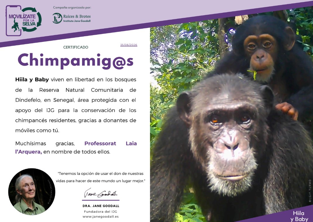 inslaialarquera's tweet photo. L’alumnat de 2n d’ESO de l’@InstitutLaiaArquera ha participat en el projecte #SaveTheChimps de #GlobalScholars.
📱♻️ Hem recollit i reciclat 200 mòbils i dispositius electrònics, una acció que ens ha permès apadrinar 6 ximpanzés de la Fundac. J.Goodall
#Sostenibilitat #Reciclatge https://t.co/ULgCbrpwJf