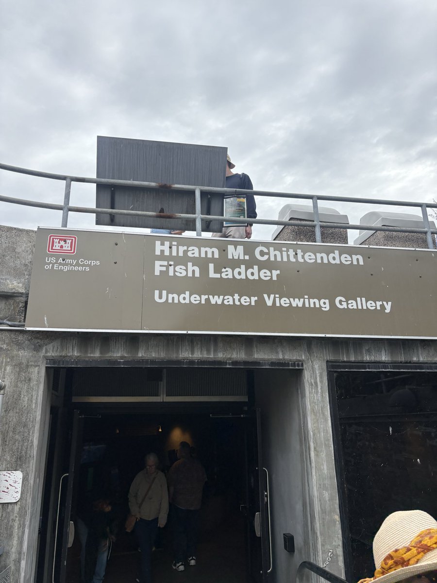 Jawwwwwsh's tweet photo. “Meet at the bar after work?” 

No MF. Meet at the Hiram M. Chittenden Fish Ladder Underwater Viewing Gallery after work 😤 https://t.co/X8WbyTx2IO