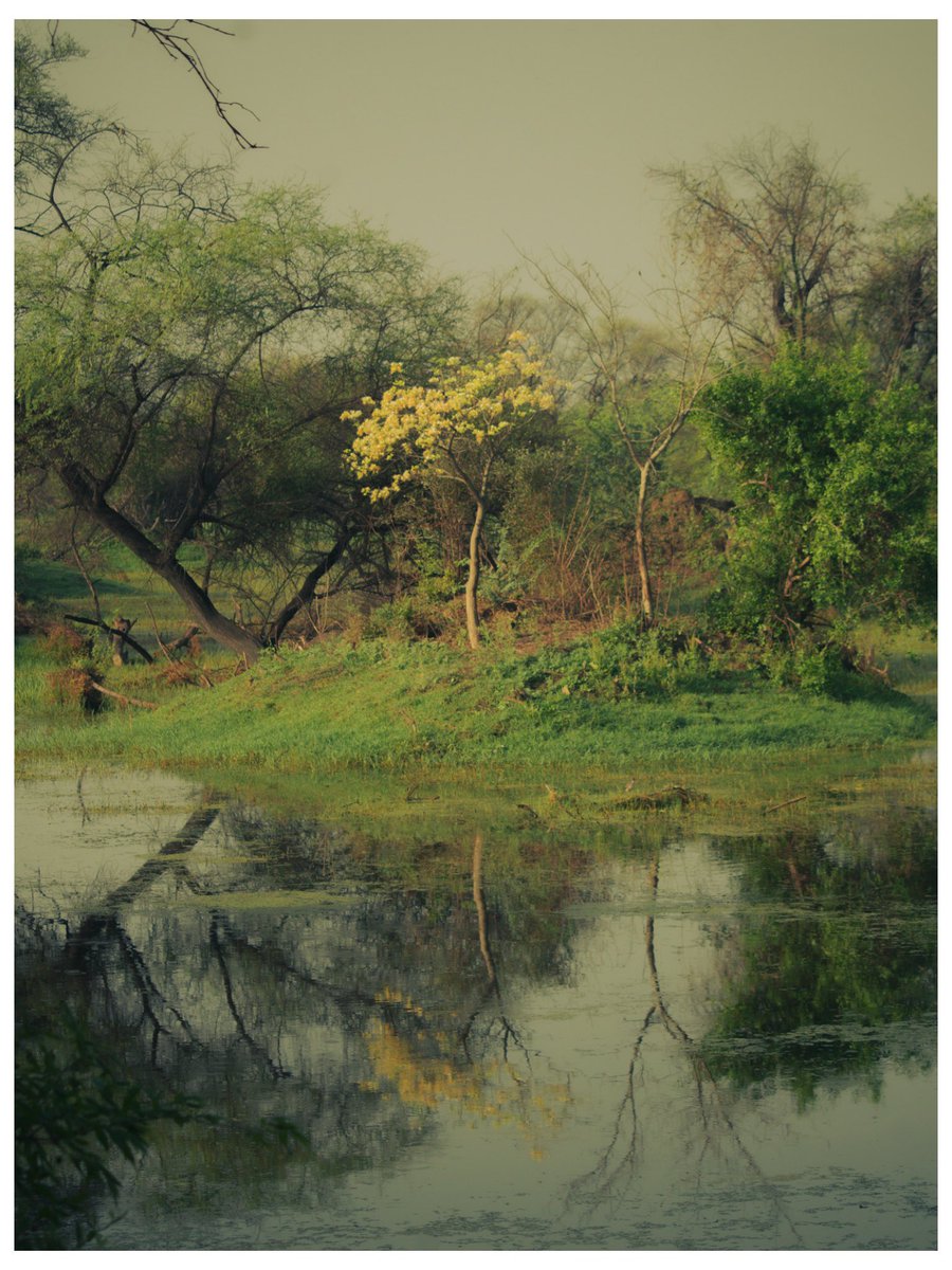 archittsharmaaa's tweet photo. Photos I took as the sun rose. https://t.co/fyhb0X03hY