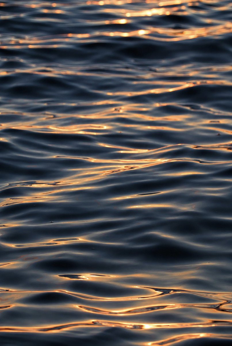 earthcurated's tweet photo. Sunset looks different when the ocean carries the light ✨ https://t.co/HfdP5GNOoQ