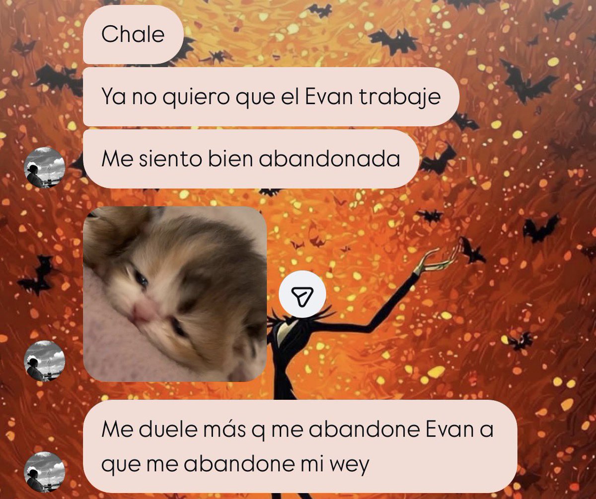 thixiss's tweet photo. la chamba me consume, y la maia automáticamente: https://t.co/bMFzgpxiil