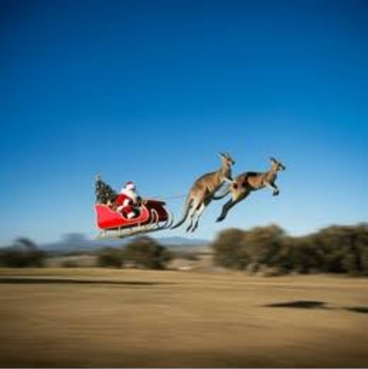 kangaincrisis's tweet photo. Yet Reindeers get all the credits. 😑 https://t.co/pC1WBpujkP