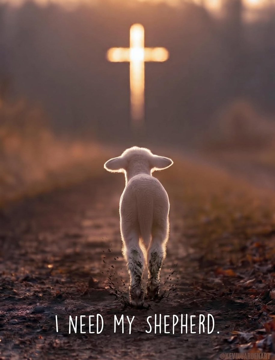 SteveColerick's tweet photo. ✝️ Thank You Jesus ✝️ 

"Once you were like sheep who wandered away. But now you have turned to your Shepherd, the Guardian of your souls."

[1 Peter 2:25] NLT https://t.co/tHjlXzyGHx