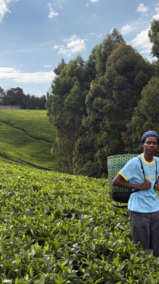 thefolajimy's tweet photo. 1hr from Nairobi https://t.co/nupCOmymyO