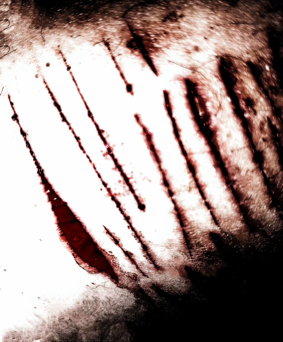 Lingnw1n's tweet photo. fakeblood   artificialbody   special effects makeup https://t.co/frP2hdeTtx