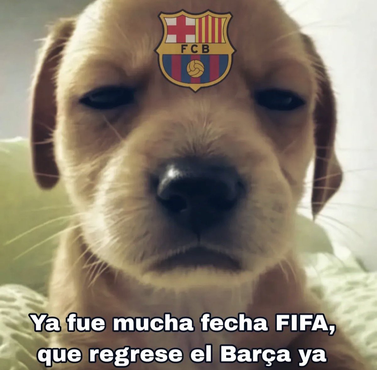 Factoxscule's tweet photo. Que se acabe ya. https://t.co/r5Ablgd71Z